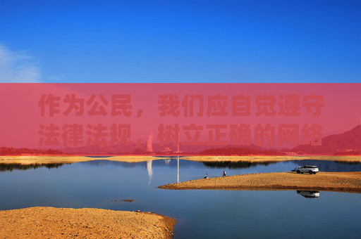 作为公民，我们应自觉遵守法律法规，树立正确的网络观，坚决抵制不良信息，主动选择健康、积极、向上的网络内容。如果发现此类违法信息，应及时向网信、公安等部门举报，共同维护清朗的网络空间，公民自觉抵制不良信息 共护清朗网络空间
