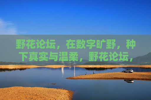 野花论坛,在数字旷野,种下真实与温柔,野花论坛,数字旷野的真实与温柔 野花论坛,在数字旷野,种下真实与温柔,野花论坛,数字旷野的真实与温柔