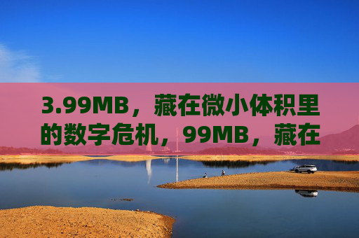 3.99MB,藏在微小体积里的数字危机,99MB,藏在微小里的数字危机 3.99MB,藏在微小体积里的数字危机,99MB,藏在微小里的数字危机