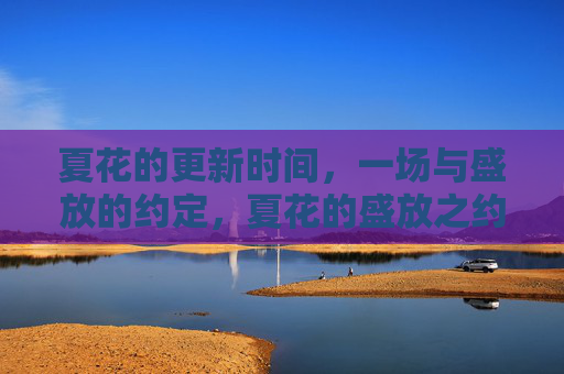夏花的更新时间,一场与盛放的约定,夏花的盛放之约 夏花的更新时间,一场与盛放的约定,夏花的盛放之约