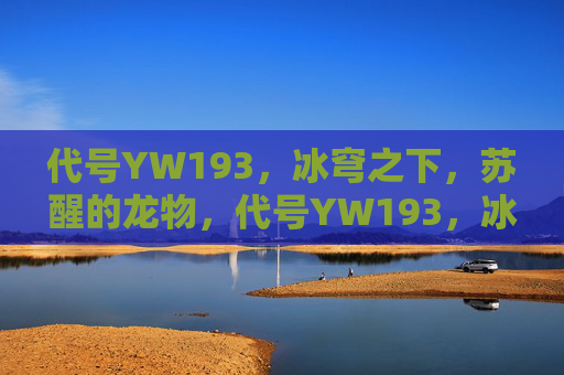 代号YW193,冰穹之下,苏醒的龙物,代号YW193,冰穹苏醒龙物 代号YW193,冰穹之下,苏醒的龙物,代号YW193,冰穹苏醒龙物