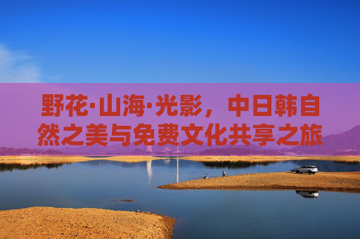 野花·山海·光影，中日韩自然之美与免费文化共享之旅，野花山海光影，中日韩自然之美免费共享之旅