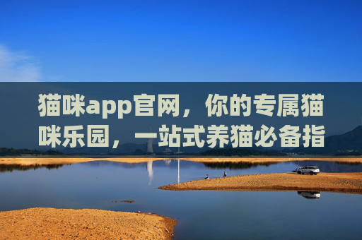 猫咪app官网，你的专属猫咪乐园，一站式养猫必备指南，专属猫咪乐园APP，一站式养猫必备指南