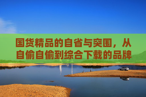 国货精品的自省与突围，从自偷自偷到综合下载的品牌进化之路，国货精品的自省突围，从自偷自偷到综合下载