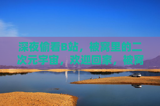 深夜偷看B站，被窝里的二次元宇宙，欢迎回家，被窝里的二次元宇宙，深夜B站，欢迎回家