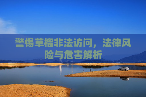 警惕草榴非法访问，法律风险与危害解析