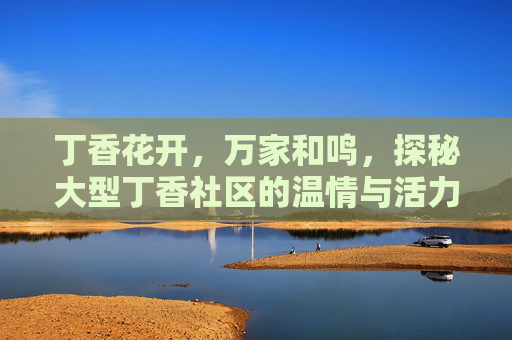丁香花开，万家和鸣，探秘大型丁香社区的温情与活力，丁香花开万家和鸣，大型社区的温情与活力