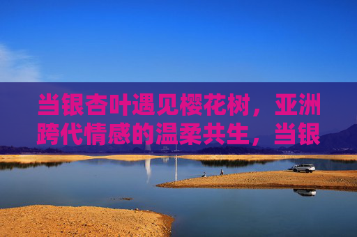 当银杏叶遇见樱花树,亚洲跨代情感的温柔共生,当银杏叶遇见樱花树,亚洲跨代情感的温柔共生 当银杏叶遇见樱花树,亚洲跨代情感的温柔共生,当银杏叶遇见樱花树,亚洲跨代情感的温柔共生