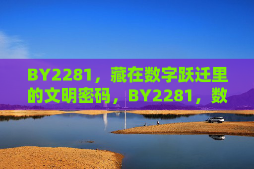 BY2281，藏在数字跃迁里的文明密码，BY2281，数字跃迁里的文明密码