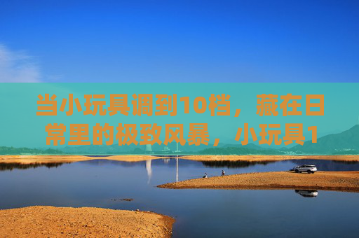 当小玩具调到10档，藏在日常里的极致风暴，小玩具10档，日常里的极致风暴