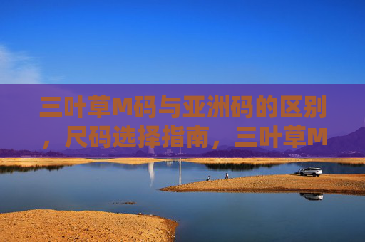 三叶草M码与亚洲码的区别，尺码选择指南，三叶草M码与亚洲码区别及尺码选择指南