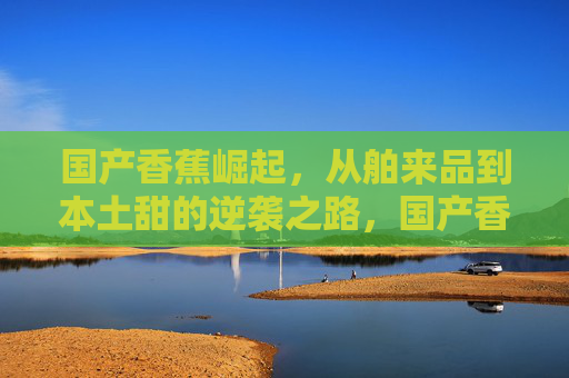国产香蕉崛起，从舶来品到本土甜的逆袭之路，国产香蕉，从舶来品到本土甜的逆袭