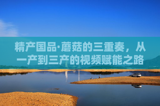 精产国品·蘑菇的三重奏，从一产到三产的视频赋能之路，精产国品·蘑菇三重奏，视频赋能三产升级之路