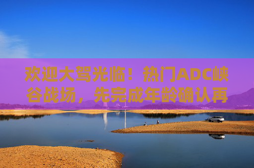 欢迎大驾光临！热门ADC峡谷战场，先完成年龄确认再开团，热门ADC峡谷战场，年龄确认后再开团