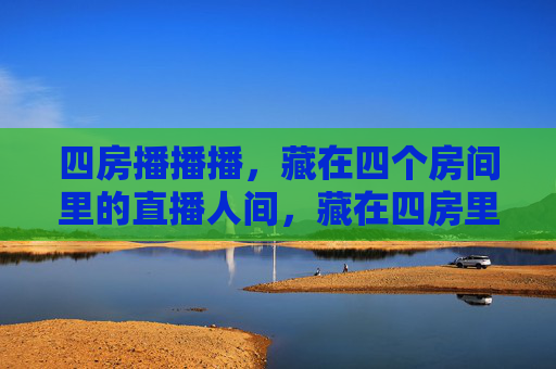 四房播播播，藏在四个房间里的直播人间，藏在四房里的直播人间