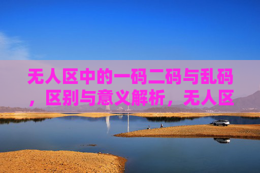 无人区中的一码二码与乱码，区别与意义解析，无人区一码二码与乱码，区别与意义解析