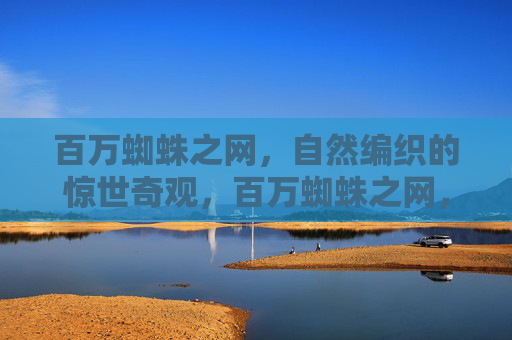百万蜘蛛之网，自然编织的惊世奇观，百万蜘蛛之网，自然编织的惊世奇观