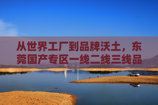 从世界工厂到品牌沃土，东莞国产专区一线二线三线品牌的崛起之路，东莞，从世界工厂到品牌沃土，国产专区品牌崛起
