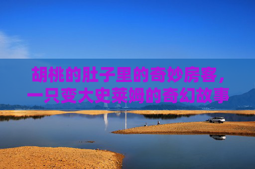 胡桃的肚子里的奇妙房客，一只变大史莱姆的奇幻故事，胡桃肚子里的奇妙房客，变大史莱姆奇幻记