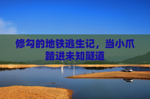 修勾的地铁逃生记，当小爪踏进未知隧道