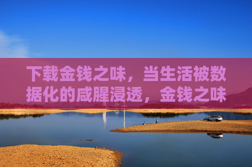 下载金钱之味，当生活被数据化的咸腥浸透，金钱之味，数据化生活的咸腥浸透