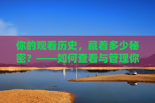 你的观看历史，藏着多少秘密？——如何查看与管理你的历史观看记录，观看历史里的秘密，如何查看与管理