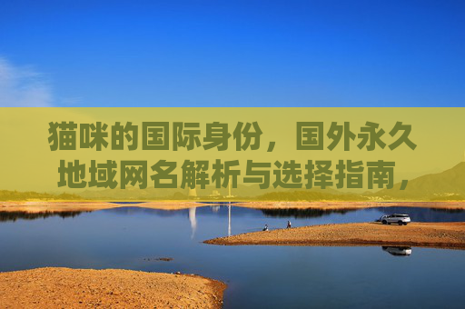 猫咪的国际身份，国外永久地域网名解析与选择指南，猫咪国外永久地域网名，国际身份解析与选择指南