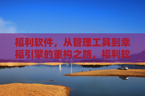 福利软件，从管理工具到幸福引擎的重构之路，福利软件，从管理工具到幸福引擎的重构