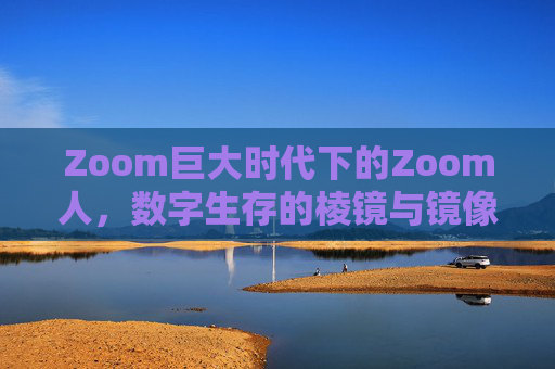 Zoom巨大时代下的Zoom人，数字生存的棱镜与镜像，Zoom时代的数字生存，棱镜与镜像中的Zoom人