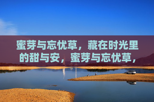 蜜芽与忘忧草，藏在时光里的甜与安，蜜芽与忘忧草，时光里的甜与安