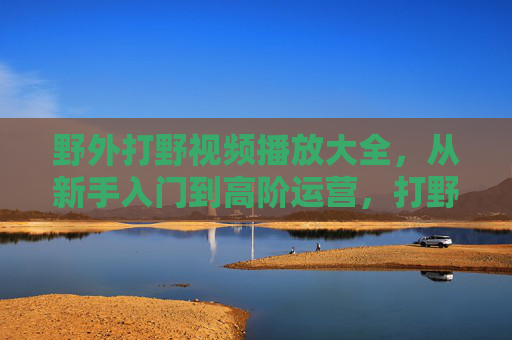 野外打野视频播放大全，从新手入门到高阶运营，打野位玩家必备资源指南，打野位玩家必备，新手入门到高阶运营视频资源大全