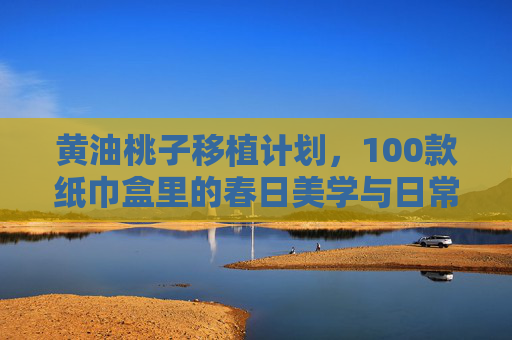 黄油桃子移植计划，100款纸巾盒里的春日美学与日常诗意，黄油桃子移植计划，百款纸巾盒里的春日美学与日常诗意