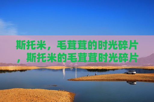 斯托米，毛茸茸的时光碎片，斯托米的毛茸茸时光碎片