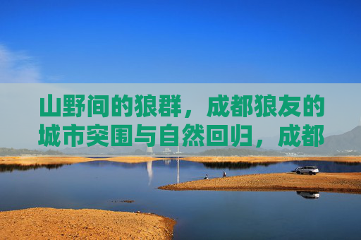 山野间的狼群，成都狼友的城市突围与自然回归，成都狼友，从城市突围到山野归群