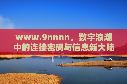 www.9nnnn，数字浪潮中的连接密码与信息新大陆