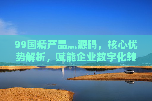 99国精产品灬源码，核心优势解析，赋能企业数字化转型新引擎，99国精产品源码核心优势，赋能企业数字化转型新引擎