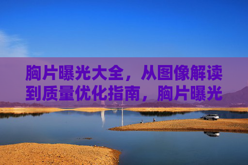 胸片曝光大全，从图像解读到质量优化指南，胸片曝光全面指南，从图像解读到质量优化