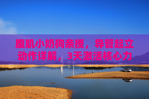腹肌小奶狗亲授，导管起立动作详解，3天激活核心力量，马甲线速成指南！腹肌小奶狗亲授，导管起立动作3天激活核心，马甲线速成指南