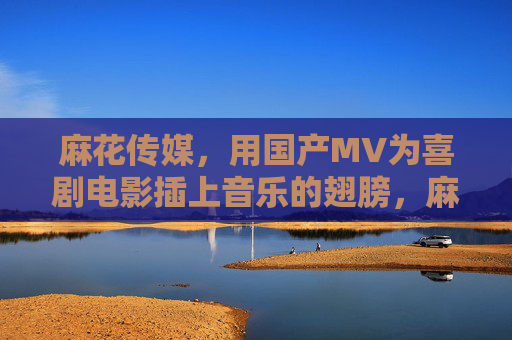 麻花传媒，用国产MV为喜剧电影插上音乐的翅膀，麻花传媒用国产MV为喜剧电影插上音乐翅膀