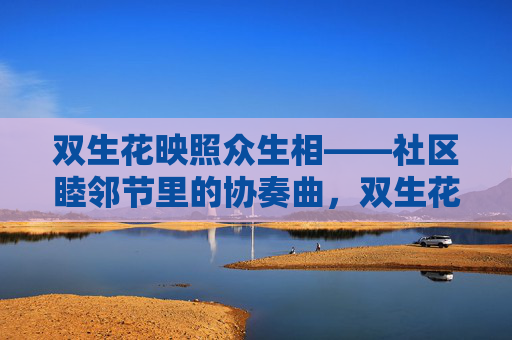 双生花映照众生相——社区睦邻节里的协奏曲，双生花映众生相，睦邻节协奏曲