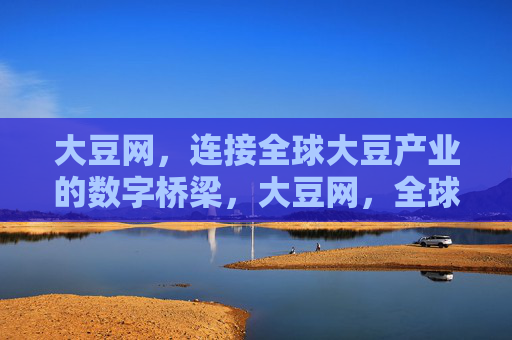 大豆网，连接全球大豆产业的数字桥梁，大豆网，全球大豆产业的数字桥梁