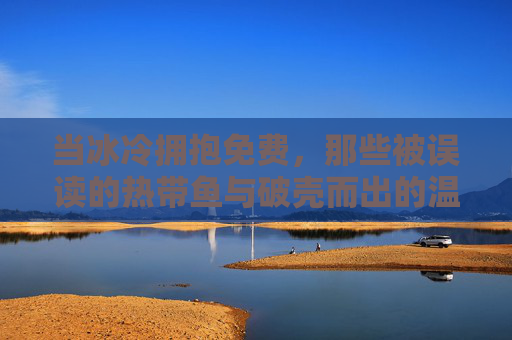 当冰冷拥抱免费，那些被误读的热带鱼与破壳而出的温度，冰冷拥抱免费，误读热带鱼破壳温度