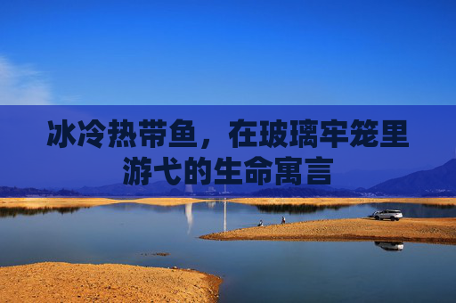 冰冷热带鱼，在玻璃牢笼里游弋的生命寓言