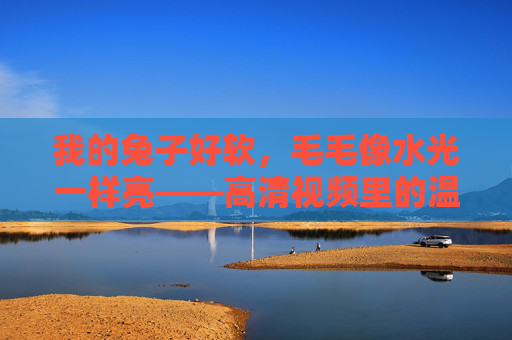 我的兔子好软，毛毛像水光一样亮——高清视频里的温柔日常，水光亮毛兔的温柔日常