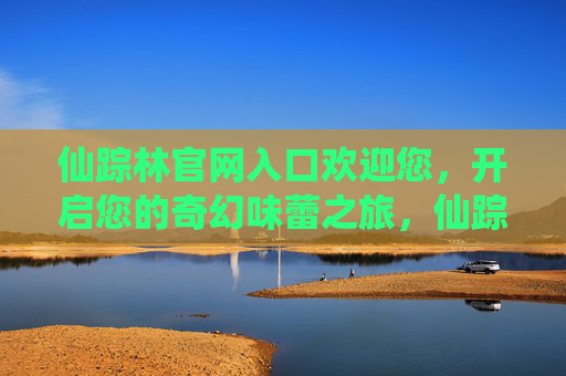 仙踪林官网入口欢迎您，开启您的奇幻味蕾之旅，仙踪林官网入口，开启奇幻味蕾之旅