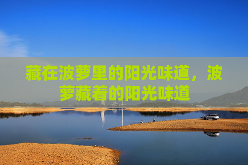 藏在波萝里的阳光味道，波萝藏着的阳光味道