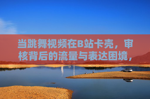 当跳舞视频在B站卡壳，审核背后的流量与表达困境，跳舞视频B站卡壳，审核背后的流量与表达困境