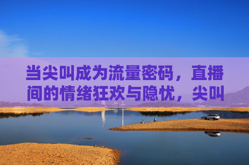 当尖叫成为流量密码，直播间的情绪狂欢与隐忧，尖叫成为流量密码，直播间的情绪狂欢与隐忧