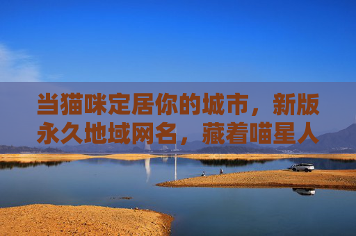 当猫咪定居你的城市，新版永久地域网名，藏着喵星人的专属乡愁，猫咪定居城市，地域网名里的喵星乡愁