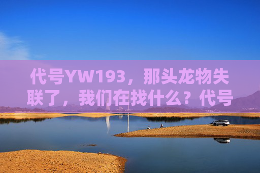 代号YW193，那头龙物失联了，我们在找什么？代号YW193，寻找失联龙物